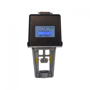 Attuatore elettrico serie S6062-18/30A (D).