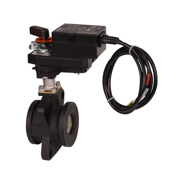 Control Valves and Actuators
